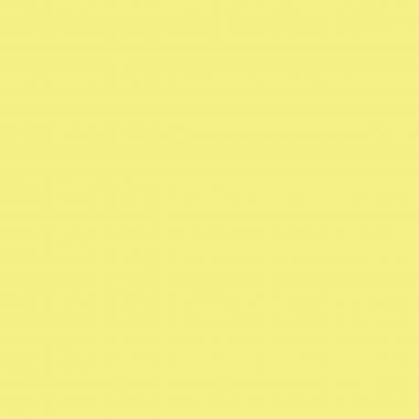 Ramette de 500 feuilles format A4 80g jaune recyclé EVERCOLOR