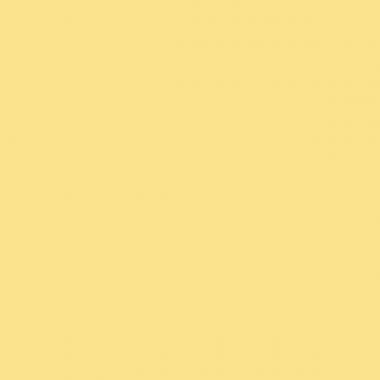 Boîtes de 500 enveloppes élection 80g jaunes