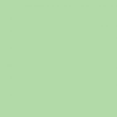 Paquet de 25 chemises rigides FOREVER dos toilé, vert pré