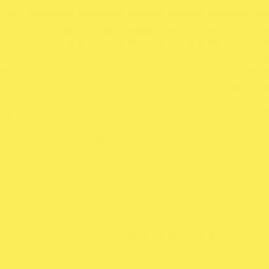 Exacompta - Paquet de 25 chemises rigides FOREVER dos toilé, jaune - 770005E