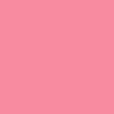 Paquet de 25 chemises rigides FOREVER dos toilé, rose