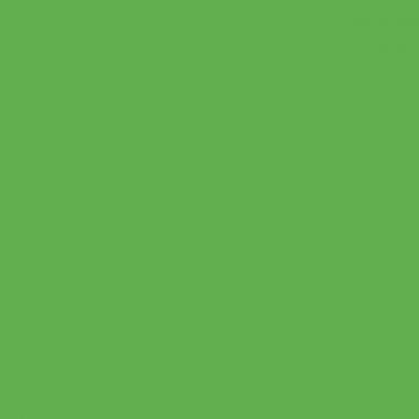 Classeur 4 anneaux en polypropylène opaque, format A4, dos 2,5 cm, vert clair
