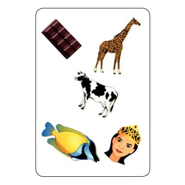 TAM TAM SAFARI CP niveau 2