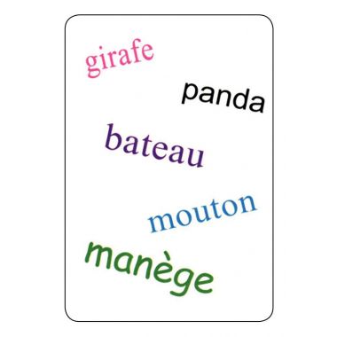 TAM TAM SAFARI CP niveau 2