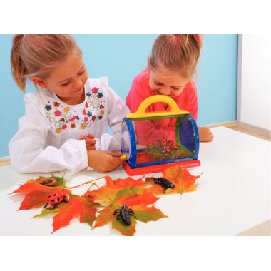 Boite d'observation pour insectes