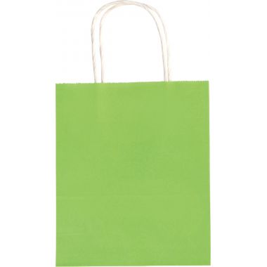 Lot de 20 sacs en kraft coloré