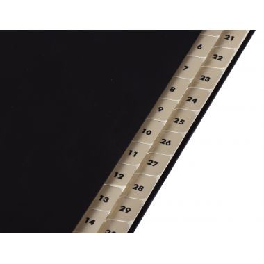 Trieur numérique balacron 31 compartiments, noir