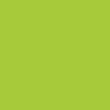 Giotto - Flacon de 1L de gouache liquide coloris vert printemps - F533411
