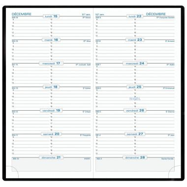 Agenda quinzainier SL17 assorti