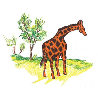 Crayon de couleur Woody or