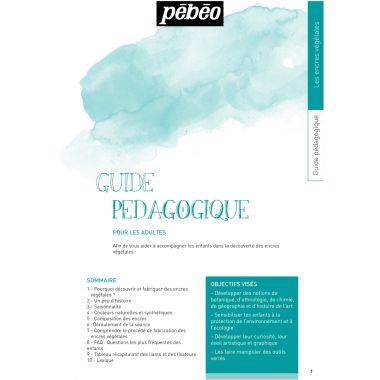 Set de 5 Flacons 45ml d'encre à dessiner végétale, couleurs primaires