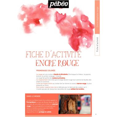 Set de 5 Flacons 45ml d'encre à dessiner végétale, couleurs primaires