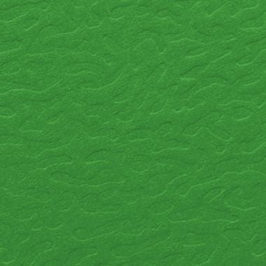Carton de 10 chemises EUROFOLIO+ ALPINA, dos 15 mm, vert