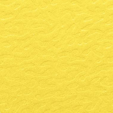 Carton de 10 chemises EUROFOLIO+ ALPINA, dos 15 mm, jaune