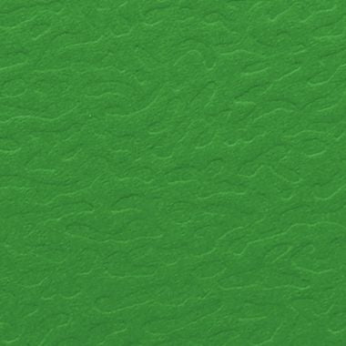 Boite de classement en carte grainée EUROFOLIO+ dos 4 cm, vert