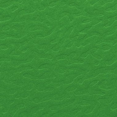 Boite de classement en carte grainée EUROFOLIO+ dos 6 cm, vert