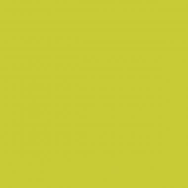 Corbeille à papier HAPPY 14L anis