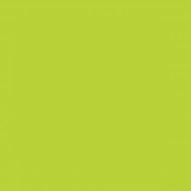 Porte-revues HAPPY vert
