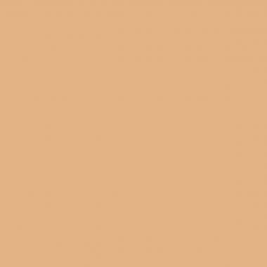 Chemise extensible en kraft dos toilé