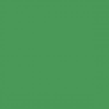Rouleau de 30 feuilles de papier de soie 50 x 70 cm vert foncé