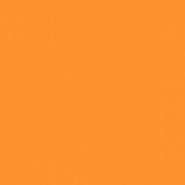 Crayon de couleur Woody orange