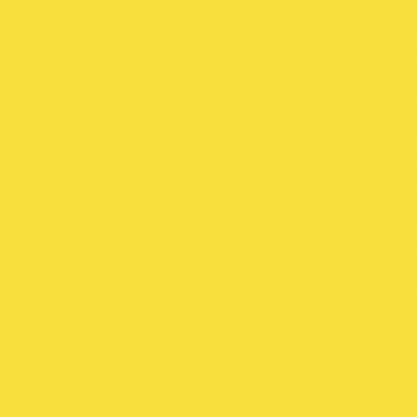 Stabilo - Crayon de couleur Woody jaune - 880/205