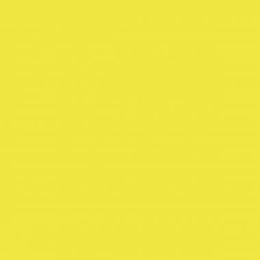 Boîte de 12 feutres Visacolor XL jaune