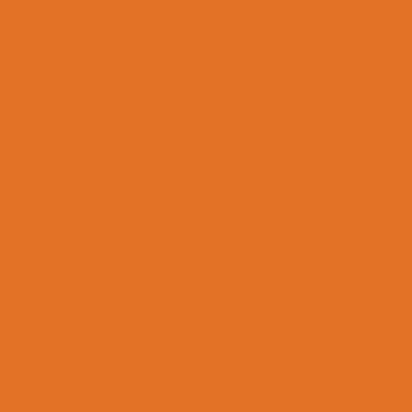 Boîte de 12 feutres Visacolor XL orange