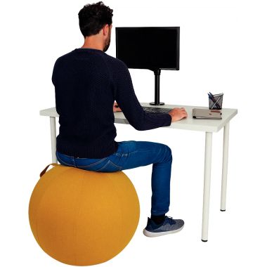 Ballon d'assise ergonomique noir
