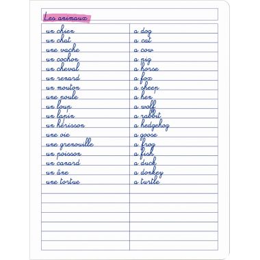 Carnet de vocabulaire 96 pages CONQUERANT couverture PP, 17x22 cm
