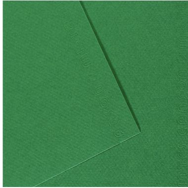 Paquet de 10 feuilles mi-teinte format 50x65cm vert billard