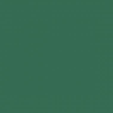 Paquet de 10 feuilles mi-teinte format 50x65cm vert billard
