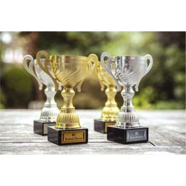 Recharge BROTHER TZE blanc sur argent 12mm