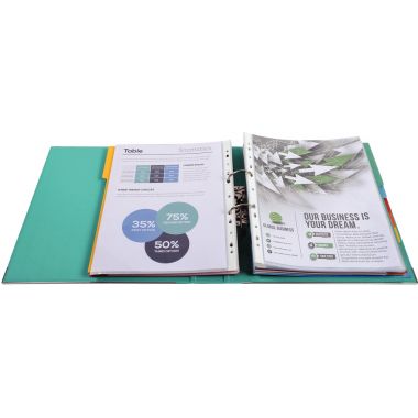 Exacompta Classeur à levier PREM'TOUCH format A4+, dos 5 cm, vert clair - 53103E