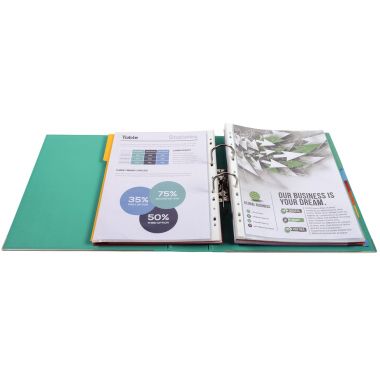 Exacompta Classeur à levier PREM'TOUCH format A4+, dos 8 cm, vert clair - 53303E