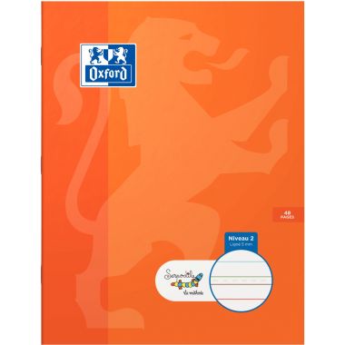 Cahier DYS format 17x22 cm, 48 pages interligne 5 mm