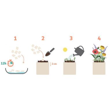 Paquet de 5 feuilles ensemencées format A4