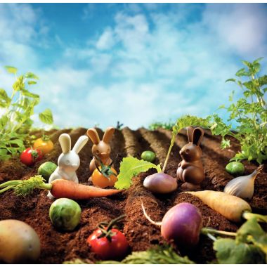 Surprises dans le potager