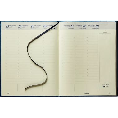 Agenda semainier Optivision 21x27cm assorti