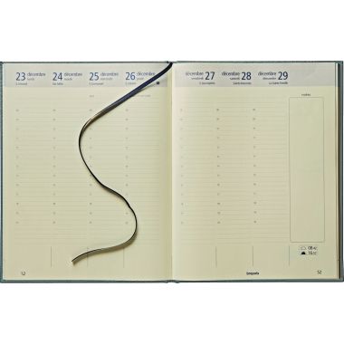 Agenda semainier Optivision 21x27cm assorti