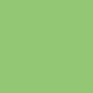 Paquet de 25 feuilles affiche 85g 60x80cm vert menthe