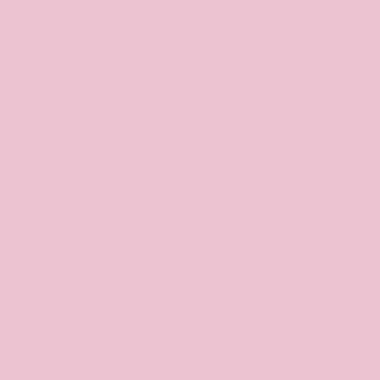 Carton de 6 Flacons 500ml de gouache pastel + 10 brosses plates synthétiques n°12