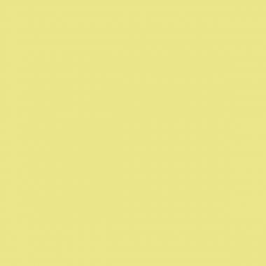 Carton de 6 Flacons 500ml de gouache pastel + 10 brosses plates synthétiques n°12