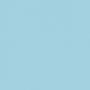 Carton de 6 Flacons 500ml de gouache pastel + 10 brosses plates synthétiques n°12