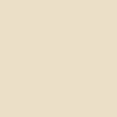 Carton de 6 Flacons 500ml de gouache pastel + 10 brosses plates synthétiques n°12