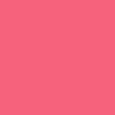 Boîte de 6 flacons de 250 ml de peinture acrylique brillante, couleurs fluo assorties