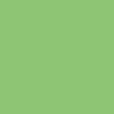 Lot de 6 flacons 250 ml de peinture acrylique MAJUSCULE, couleurs tendances