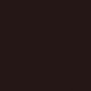 Flacon 500ml d'acrylique Glossy Lefranc Bourgeois, chocolat