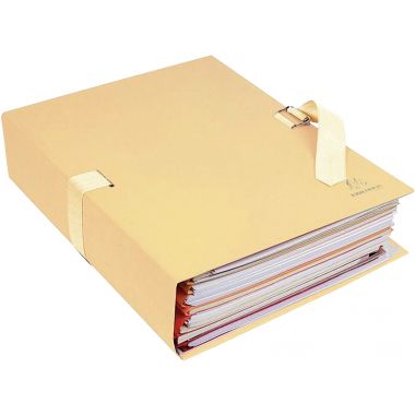 Paquet de 5 chemises extensibles toilées, assortis