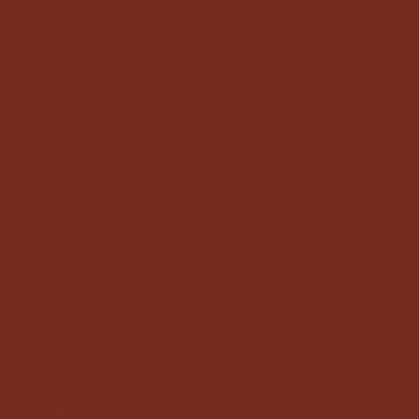 Boite de 12 sticks 40g PLAYCOLOR mural